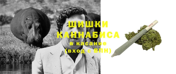 ешки Арсеньев