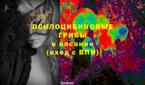 дмт Аркадак