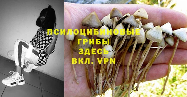 герыч Балахна