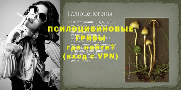 дмт Аркадак