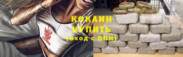 ешки Арсеньев