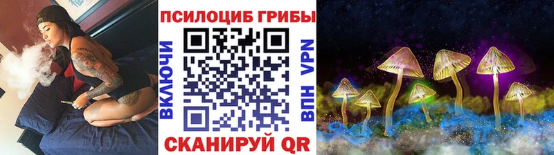 Псилоцибиновые грибы Psilocybe  купить   Питкяранта 