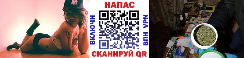Каннабис планчик  Питкяранта 